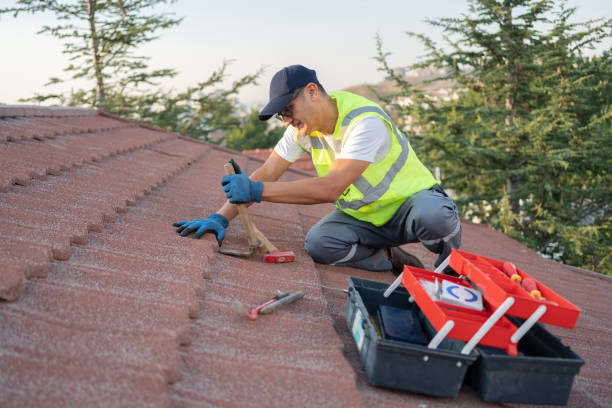 Quick and Trustworthy Emergency Roof Repair Services in Lewisville, TX